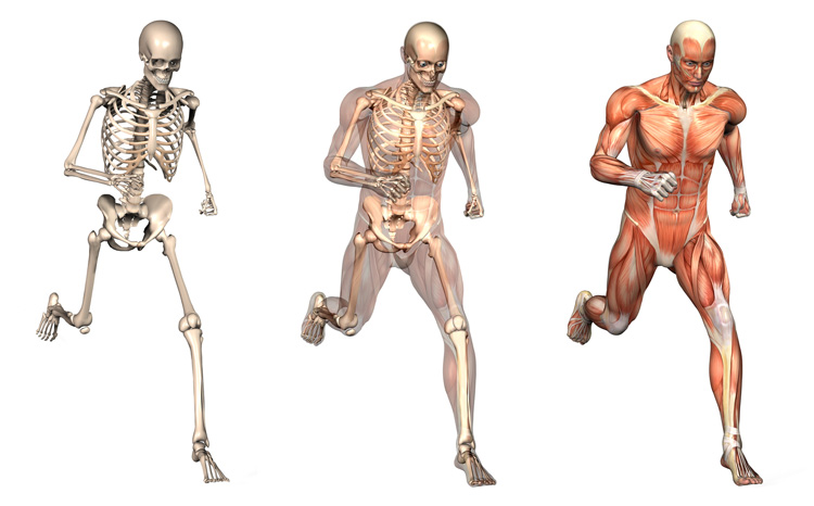 Surgeon Defines Health and Fitness