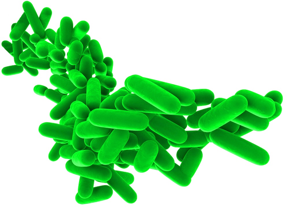 probiotics_noedge