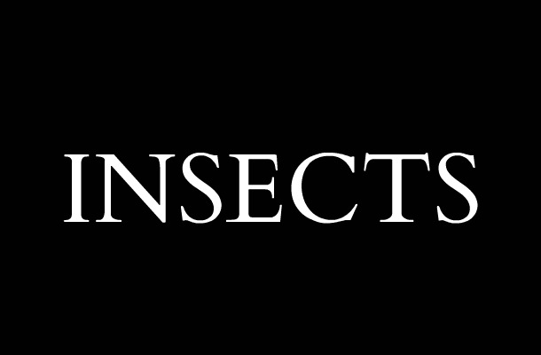 Why Some People Attract Mosquitoes More