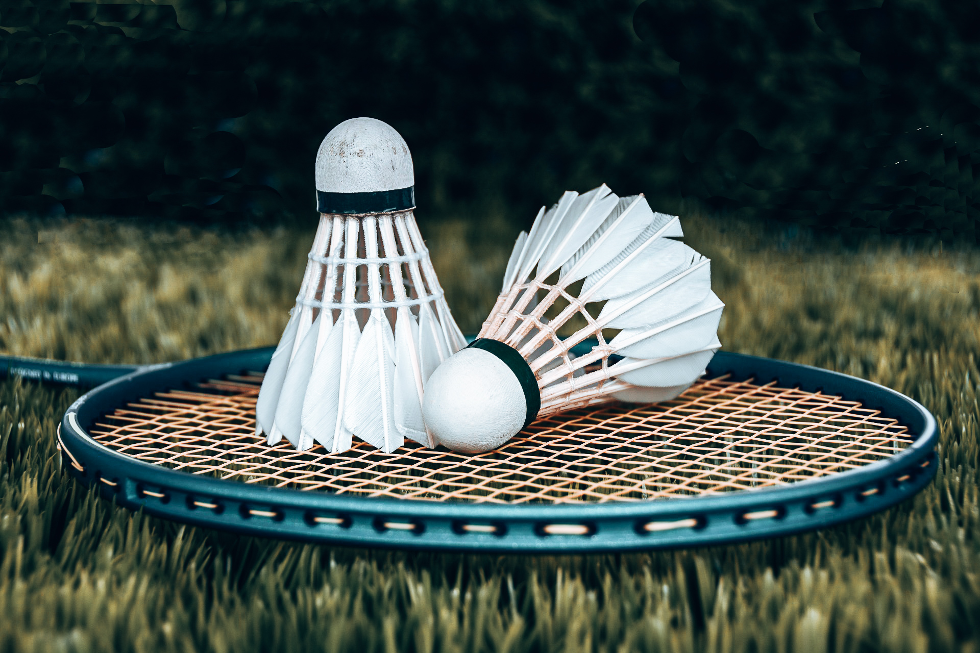 The Health Benefits of Badminton