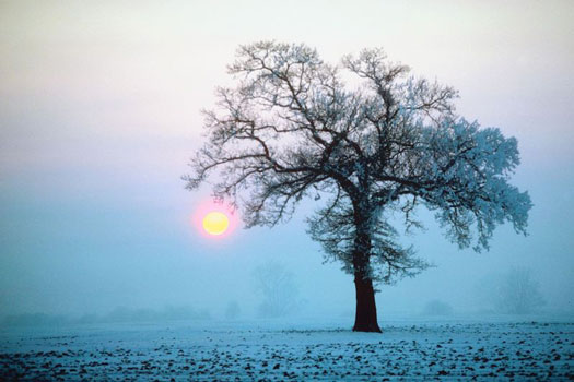 winter_sun