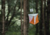 Top 10 Health Benefits of Orienteering
