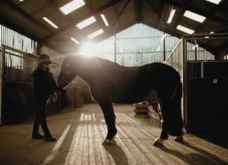 Top 10 Health Benefits of Owning a Horse