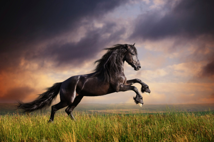 ThinkstockPhotos-179054685