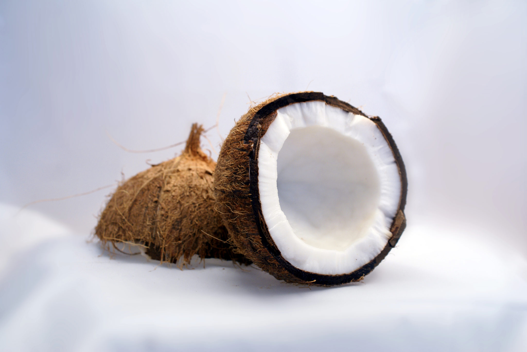 Coconut, interior view