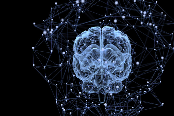 Illustration of the thought processes in the brain