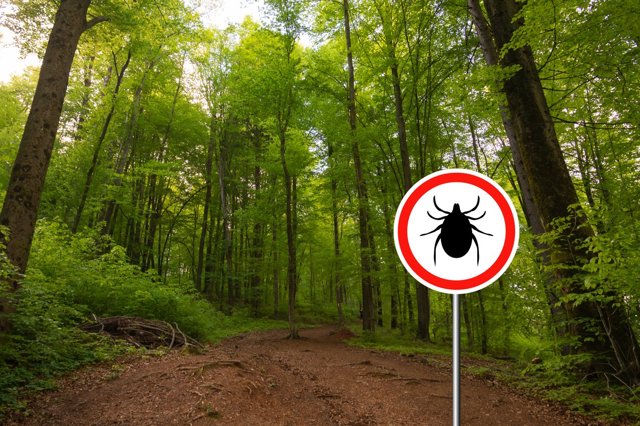 The Signs and Symptoms of Lyme Disease