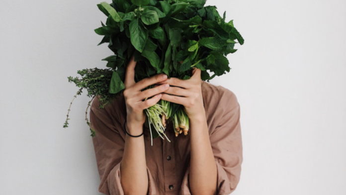 herbs for brain health